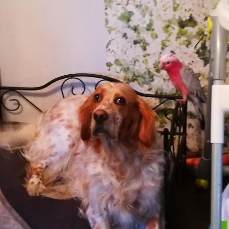 Celine Et Jose Apartment Cubzac-les-Ponts Luaran gambar